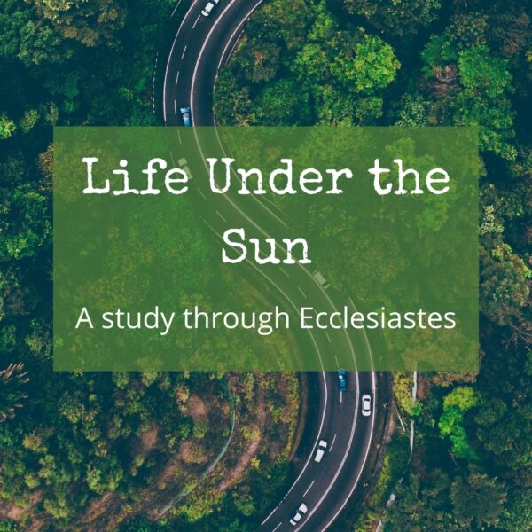 Ecclesiastes: Life Under the Sun