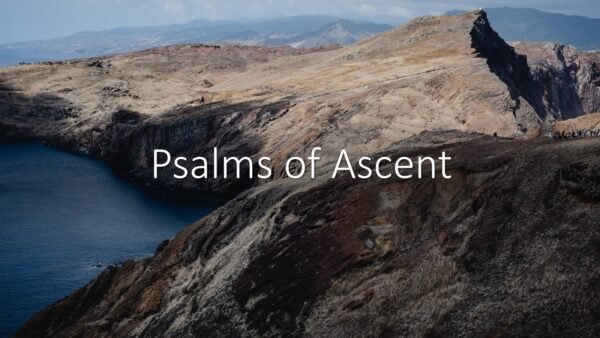 Contentment - Psalm 131 - Sunday Morning Worship Service 8-22-2021 Image